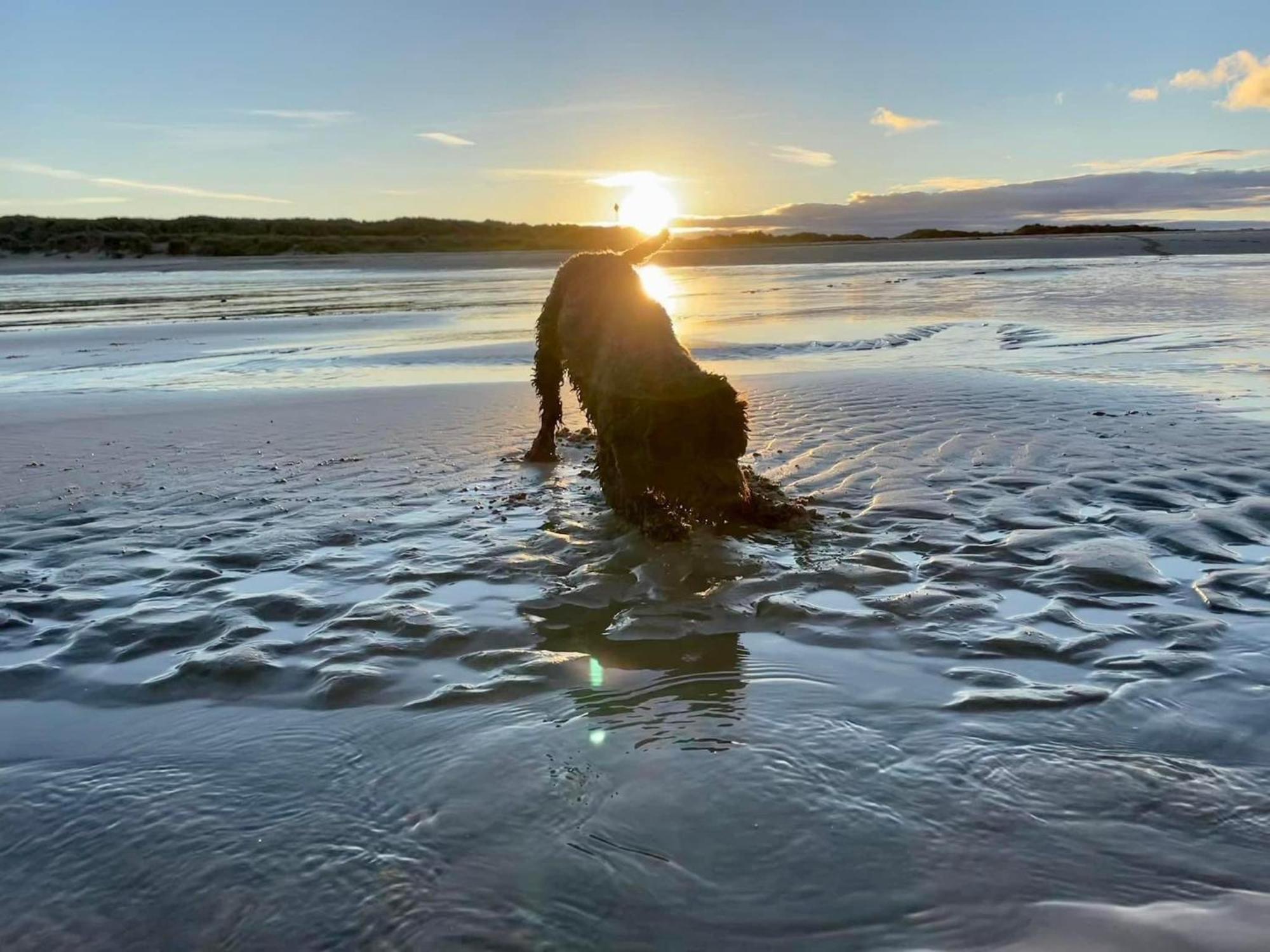 Macs Shack, California Sands, Scratby - Two Bed Chalet, Sleeps 5, Pet Friendly, Free Pool Passes Plus Linen And Towels Included Горад Грэйт Ярмут Екстериор снимка